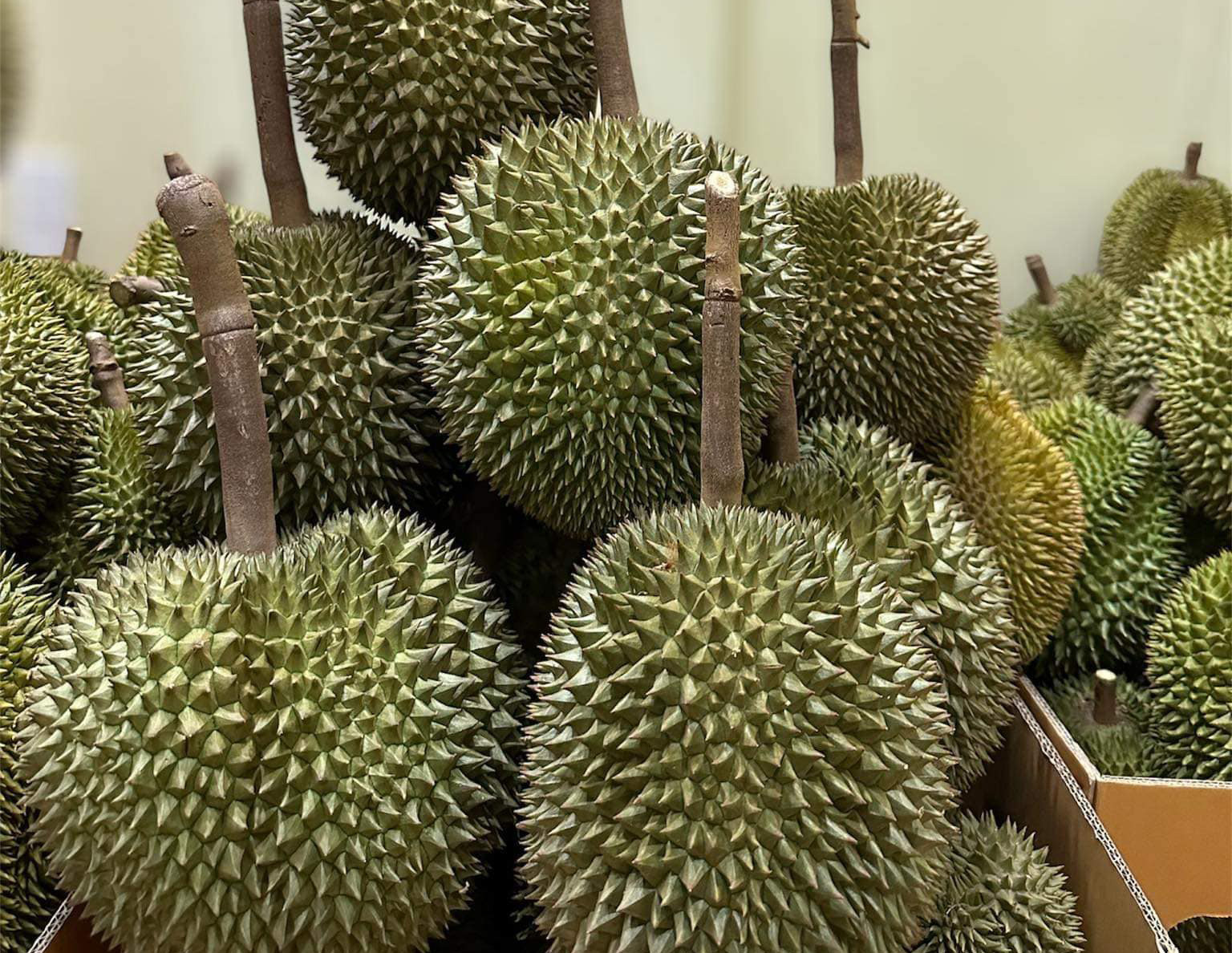 Sầu riêng Việt Nam xuất khẩu kỷ lục, nhập khẩu vẫn tăng gấp 16 lần - Ảnh 1.