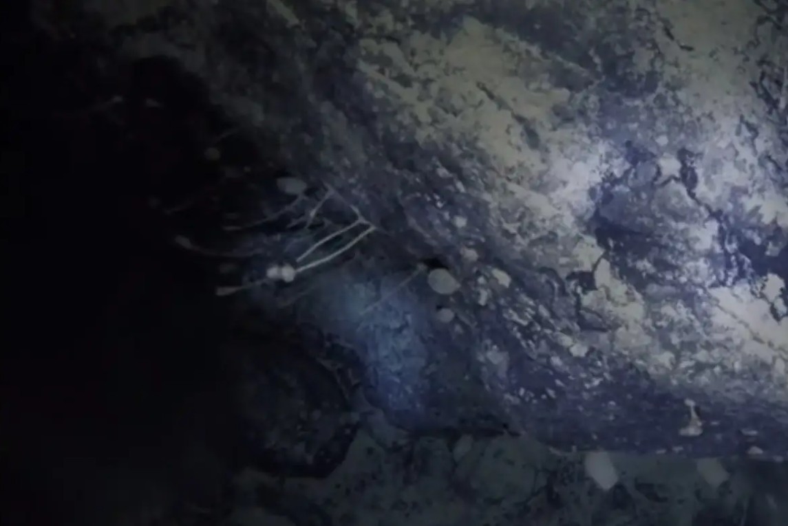 Khoan xuống lớp băng Nam Cực, giới khoa học choáng váng khi thấy dấu tích 14-30 triệu năm tuổi 'ẩn mình'- Ảnh 4. Khoan xuống lớp băng Nam Cực, giới khoa học choáng váng khi thấy dấu tích 14-30 triệu năm tuổi 'ẩn mình'- Ảnh 4.