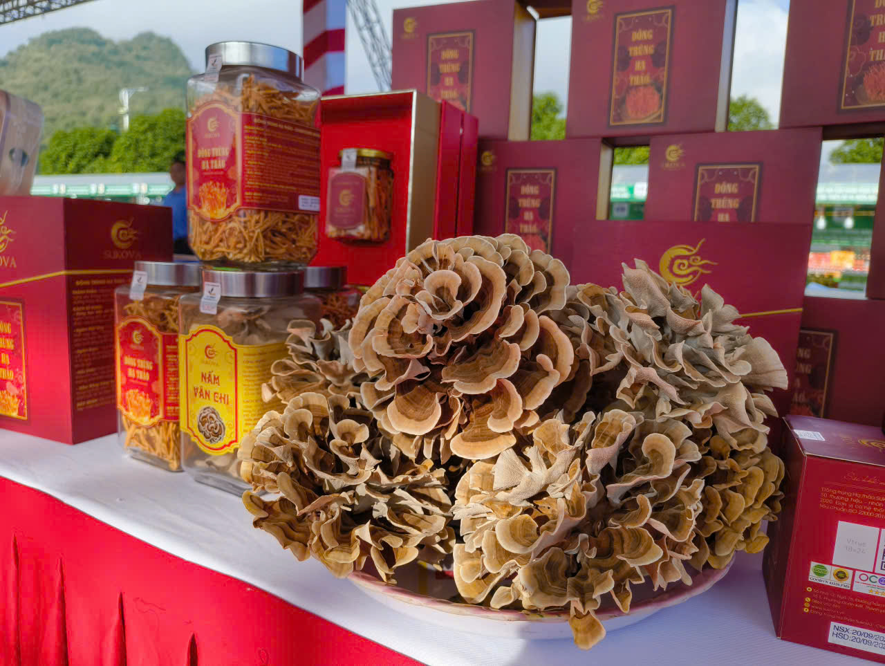 Bảo vệ người tiêu dùng trong Ngày hội sản phẩm vùng cao 2025 tại Lai Châu - Ảnh 6.