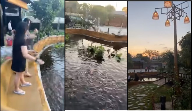 NSND Hồng Vân và Lê Tuấn Anh: Hạnh phúc bên tổ ấm tuổi U60 - Ảnh 30. NSND Hồng Vân và Lê Tuấn Anh: Hạnh phúc bên tổ ấm tuổi U60 - Ảnh 30.