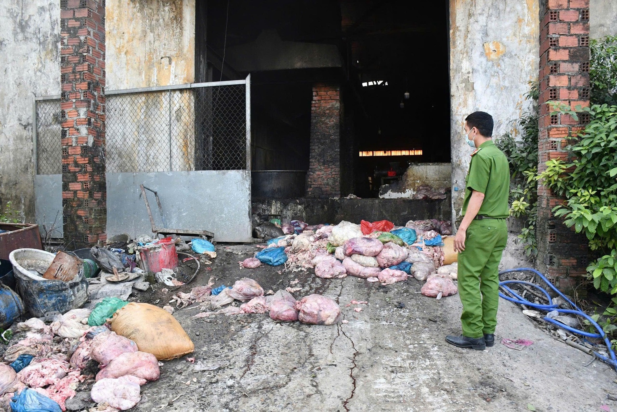 Công an Đà Nẵng phát hiện cơ sở chế biến mỡ động vật trái phép trong nghĩa trang - Ảnh 1. Công an Đà Nẵng phát hiện cơ sở chế biến mỡ động vật trái phép trong nghĩa trang - Ảnh 1.