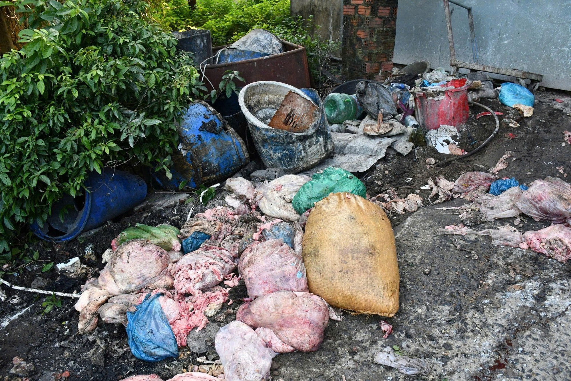 Công an Đà Nẵng phát hiện cơ sở chế biến mỡ động vật trái phép trong nghĩa trang - Ảnh 6. Công an Đà Nẵng phát hiện cơ sở chế biến mỡ động vật trái phép trong nghĩa trang - Ảnh 6.