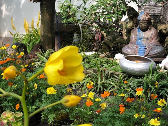 NSND Hồng Vân và Lê Tuấn Anh: Hạnh phúc bên tổ ấm tuổi U60 - Ảnh 6. NSND Hồng Vân và Lê Tuấn Anh: Hạnh phúc bên tổ ấm tuổi U60 - Ảnh 6.