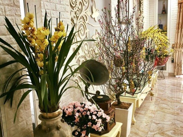 NSND Hồng Vân và Lê Tuấn Anh: Hạnh phúc bên tổ ấm tuổi U60 - Ảnh 11. NSND Hồng Vân và Lê Tuấn Anh: Hạnh phúc bên tổ ấm tuổi U60 - Ảnh 11.