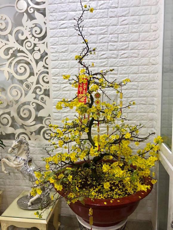 NSND Hồng Vân và Lê Tuấn Anh: Hạnh phúc bên tổ ấm tuổi U60 - Ảnh 13. NSND Hồng Vân và Lê Tuấn Anh: Hạnh phúc bên tổ ấm tuổi U60 - Ảnh 13.