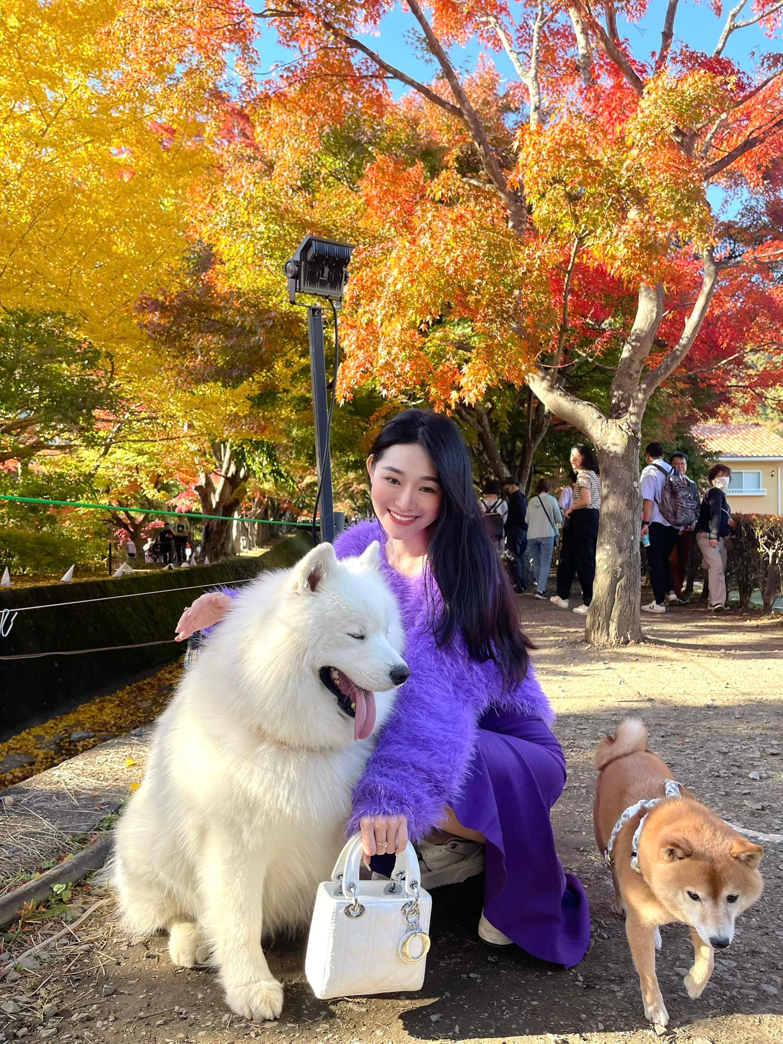 Thí sinh Olympia có màn lột xác đỉnh nhất lịch sử: Sau 10 năm tưởng biến thành người khác, còn thi cả Hoa hậu - Ảnh 6. Thí sinh Olympia có màn lột xác đỉnh nhất lịch sử: Sau 10 năm tưởng biến thành người khác, còn thi cả Hoa hậu - Ảnh 6.