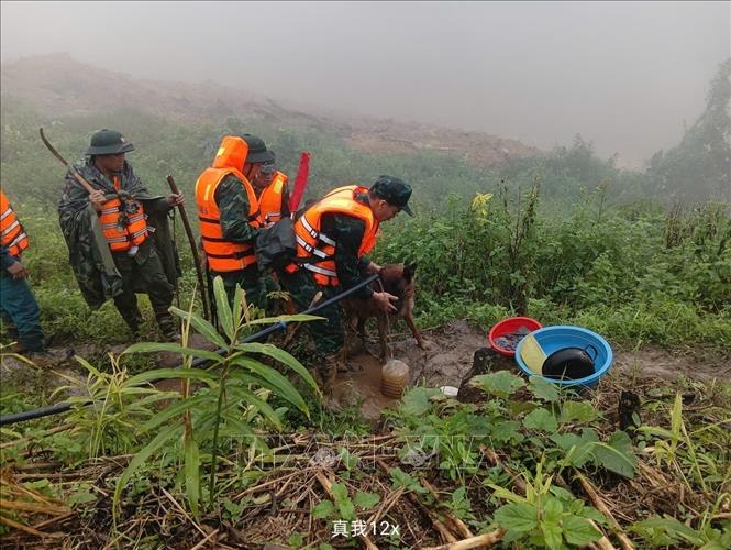 Sử dụng chó nghiệp vụ tìm kiếm nạn nhân mất tích - Ảnh 2. Sử dụng chó nghiệp vụ tìm kiếm nạn nhân mất tích - Ảnh 2.