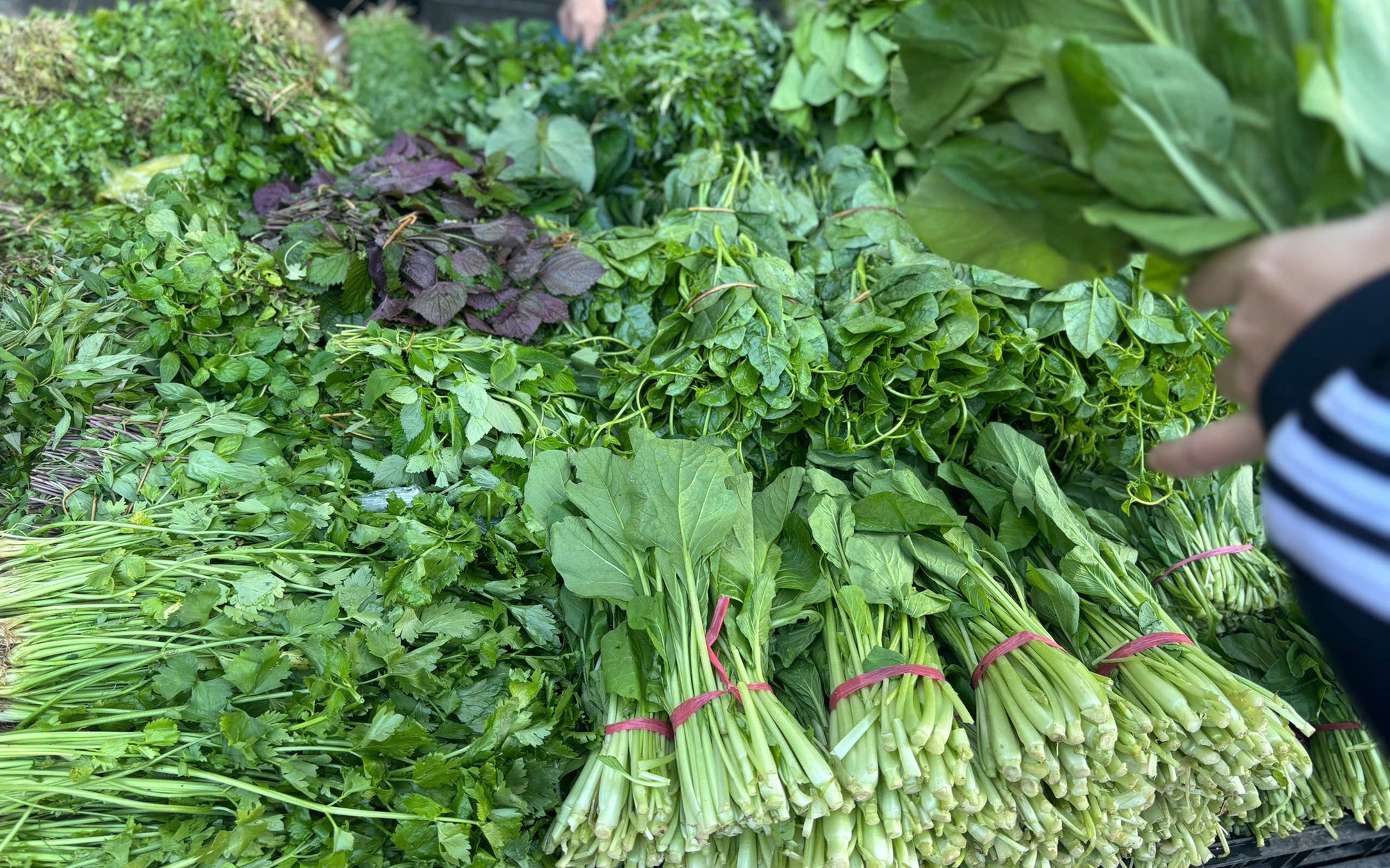 Gia đình thu nhập thấp và cách xoay xở khi rau xanh trở thành xa xỉ - Ảnh 3. Gia đình thu nhập thấp và cách xoay xở khi rau xanh trở thành xa xỉ - Ảnh 3.