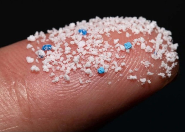 Loại rau giúp thải tác hại của hạt vi nhựa đang bán đầy chợ, người Việt nên ăn hàng ngày - Ảnh 9. Loại rau giúp thải tác hại của hạt vi nhựa đang bán đầy chợ, người Việt nên ăn hàng ngày - Ảnh 9.