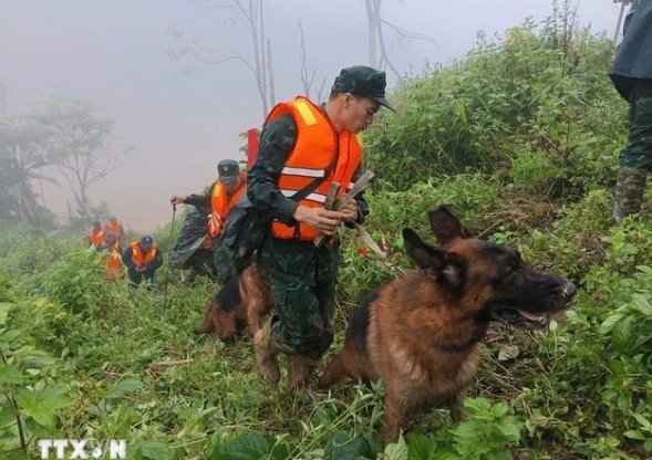 - Ảnh 1. - Ảnh 1.