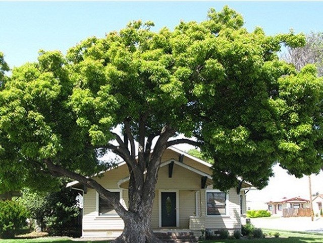 Hướng cửa sổ khi xây nhà cần biết để tránh ảnh hưởng tới sức khỏe - Ảnh 1.