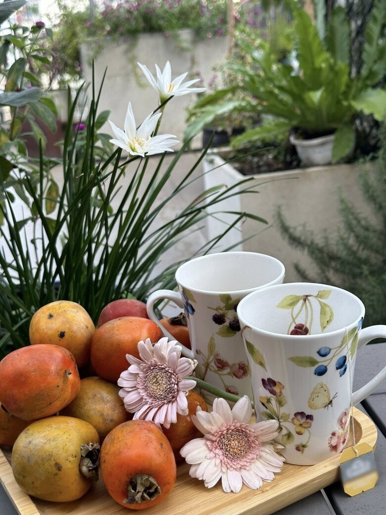 Loại cây trấn trạch hút lộc lại còn ra quả ngon ngọt được nhiều sao Việt trồng từ Việt Nam qua Mỹ - Ảnh 7.