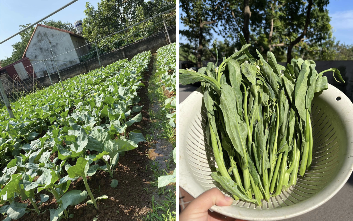 Thị trường quà tri ân thầy cô nhộn nhịp trước ngày Nhà giáo Việt Nam 20 / 11 - Ảnh 4. Thị trường quà tri ân thầy cô nhộn nhịp trước ngày Nhà giáo Việt Nam 20 / 11 - Ảnh 4.