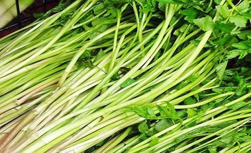 Loại rau thả lẩu hải sản thơm ngon khó cưỡng lại an toàn - Ảnh 2.