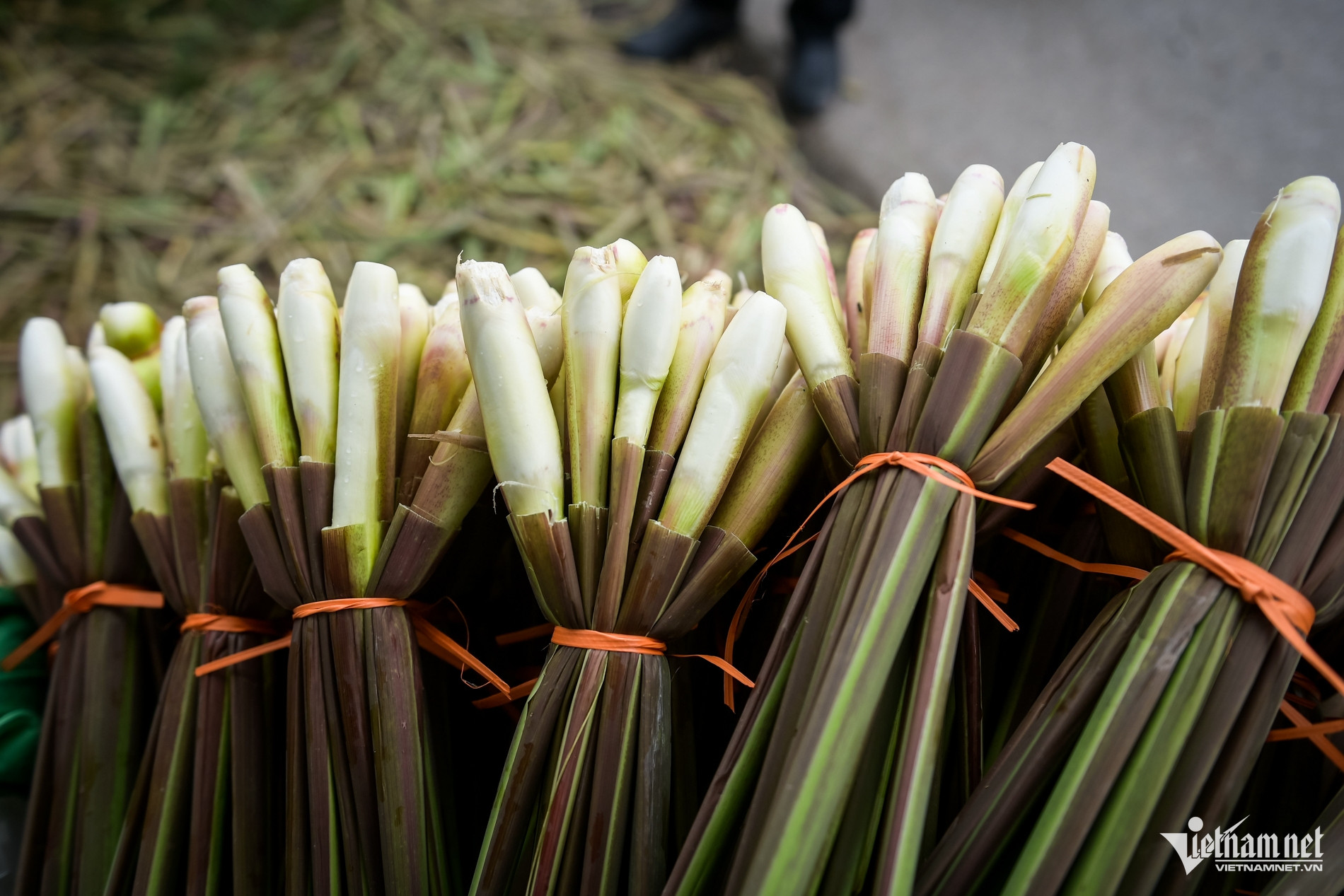 Đặc sản chỉ có một tháng ở Ninh Bình, cho thu nhập gấp 3-4 lần trồng lúa - Ảnh 4.