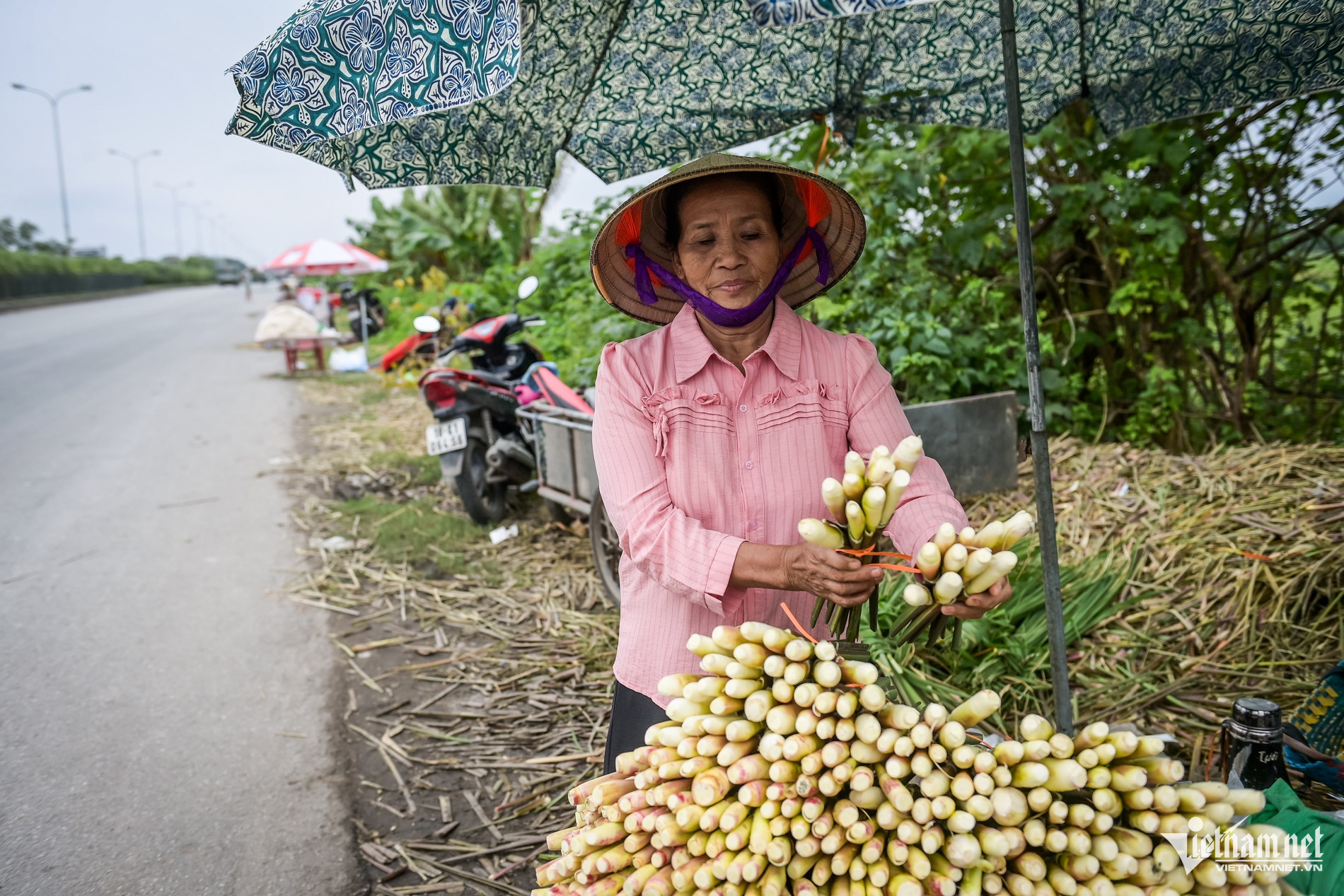 Đặc sản chỉ có một tháng ở Ninh Bình, cho thu nhập gấp 3-4 lần trồng lúa - Ảnh 3.