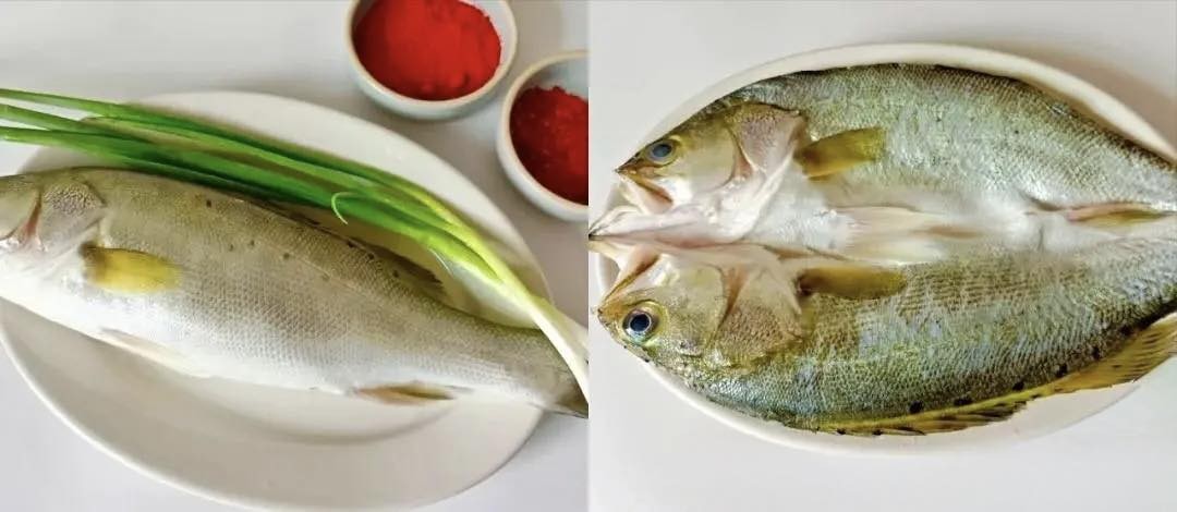 Loại cá này đang rẻ và ngon nhất: Ghim ngay 4 công thức nấu để món ăn vừa mềm mướt, ngọt và không bị tanh- Ảnh 2.