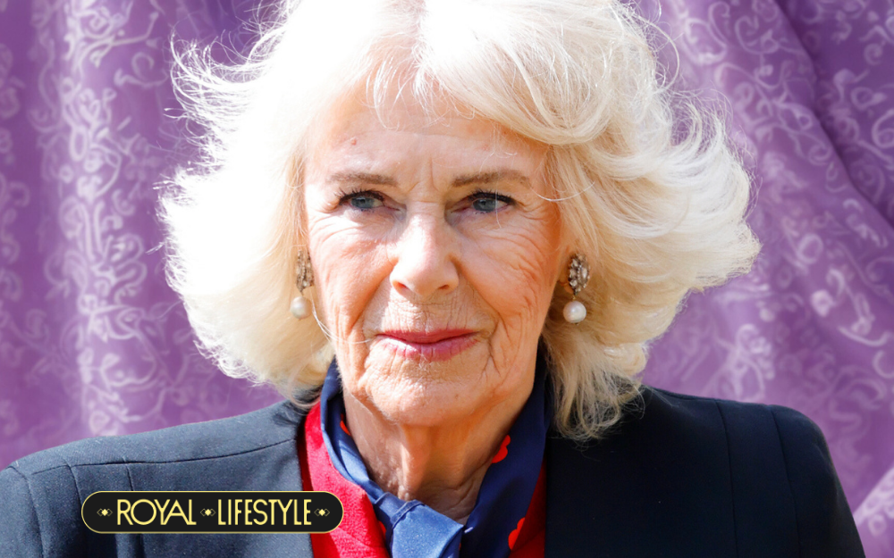 Vương hậu Camilla: Từ “người bị hiểu lầm” thành biểu tượng kiên định của Hoàng gia Anh- Ảnh 2. Vương hậu Camilla: Từ “người bị hiểu lầm” thành biểu tượng kiên định của Hoàng gia Anh- Ảnh 2.