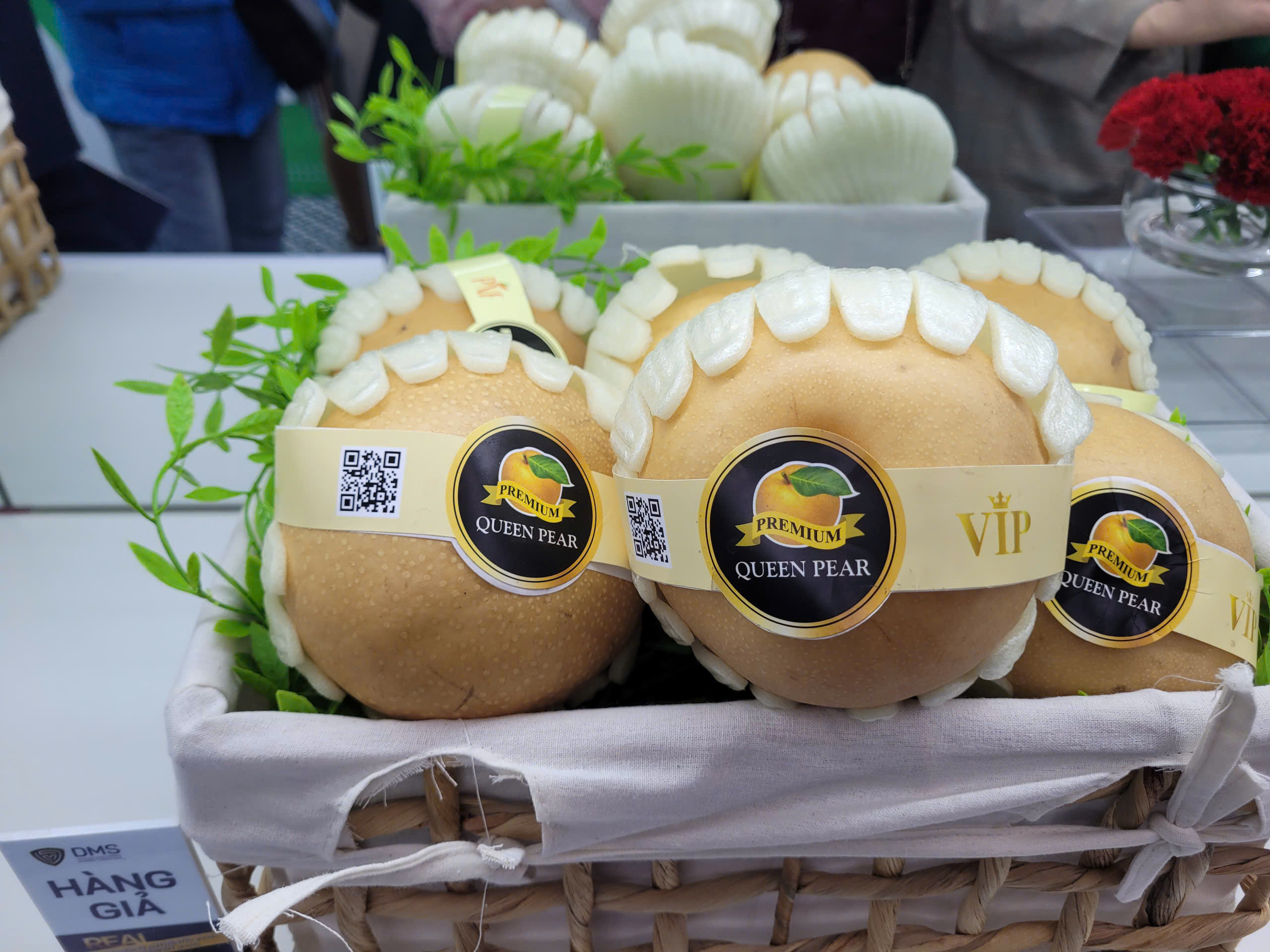 Phân biệt Lê nhập khẩu Hàn Quốc chính ngạch với lê không rõ nguồn gốc - Ảnh 3.