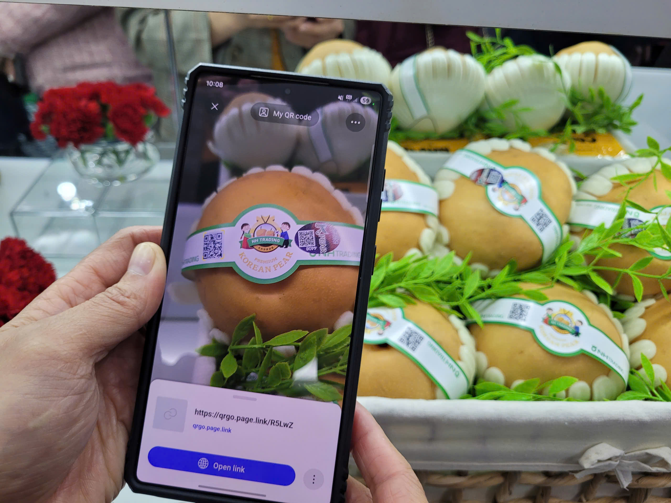 Phân biệt Lê nhập khẩu Hàn Quốc chính ngạch với lê không rõ nguồn gốc - Ảnh 4.