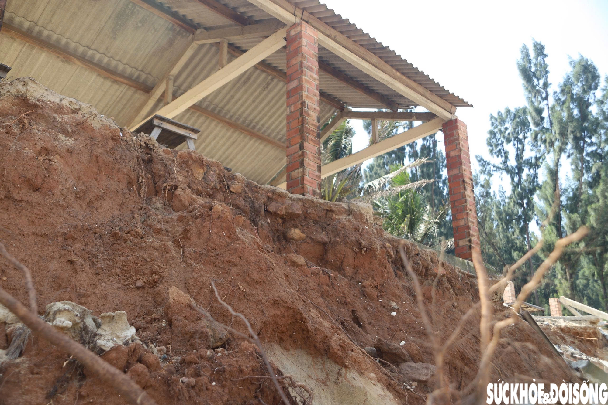 Bãi biển Hàm Rồng tan hoang sau các đợt mưa bão- Ảnh 7.