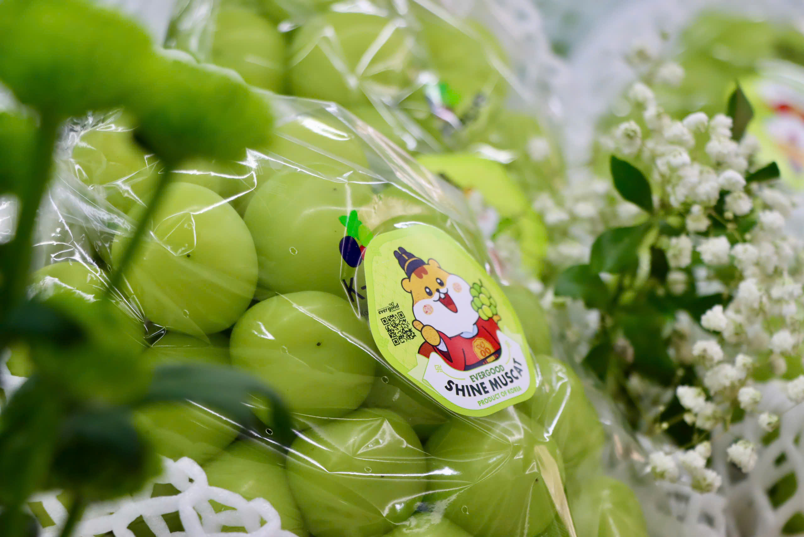 Cách phân biệt nho sữa Hàn Quốc và nho sữa Trung Quốc để Bảo vệ người tiêu dùng - Ảnh 4.