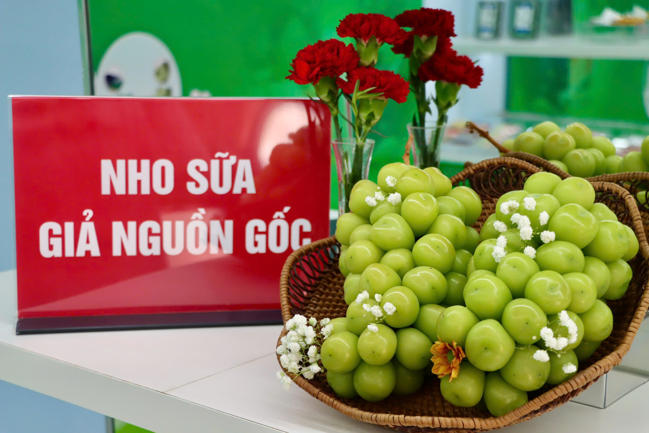 Cách phân biệt nho sữa Hàn Quốc và nho sữa Trung Quốc để Bảo vệ người tiêu dùng - Ảnh 5.