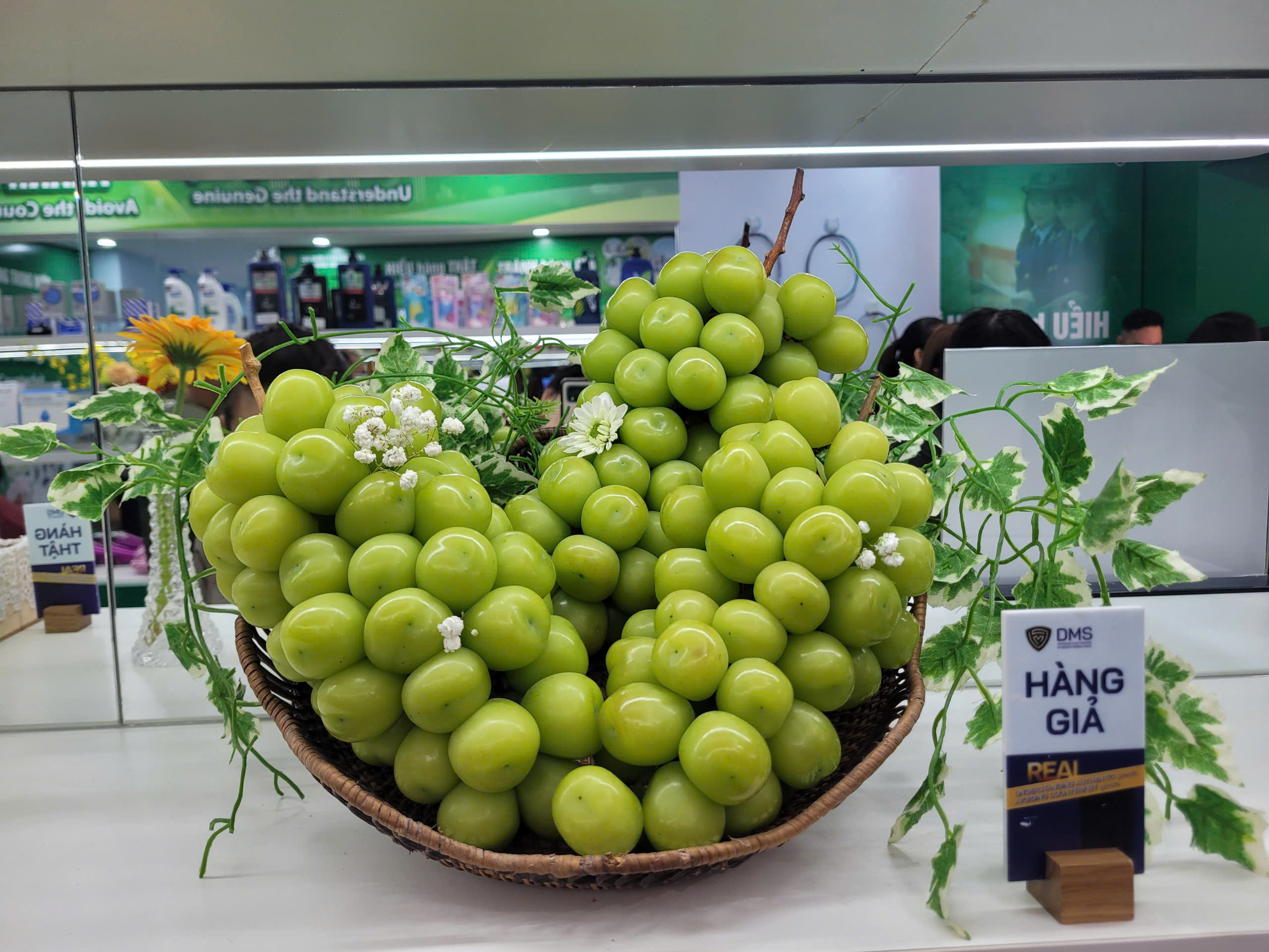 Cách phân biệt nho sữa Hàn Quốc và nho sữa Trung Quốc để Bảo vệ người tiêu dùng - Ảnh 2.