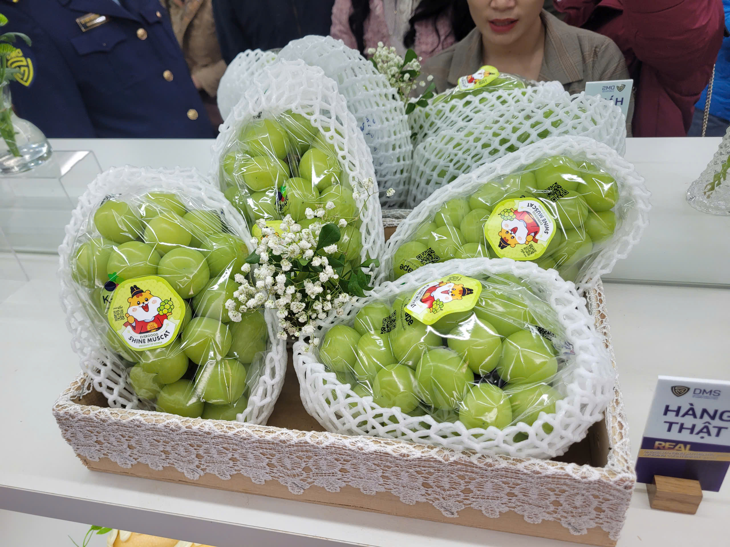 Cách phân biệt nho sữa Hàn Quốc và nho sữa Trung Quốc để Bảo vệ người tiêu dùng - Ảnh 3.