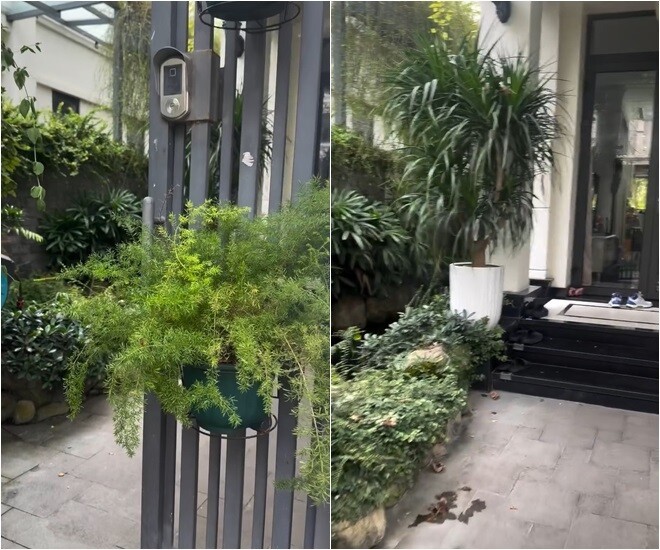 MC Thanh Vân Hugo trang trí cây thông Noel độc đáo trong biệt thự 200m2 - Ảnh 2.