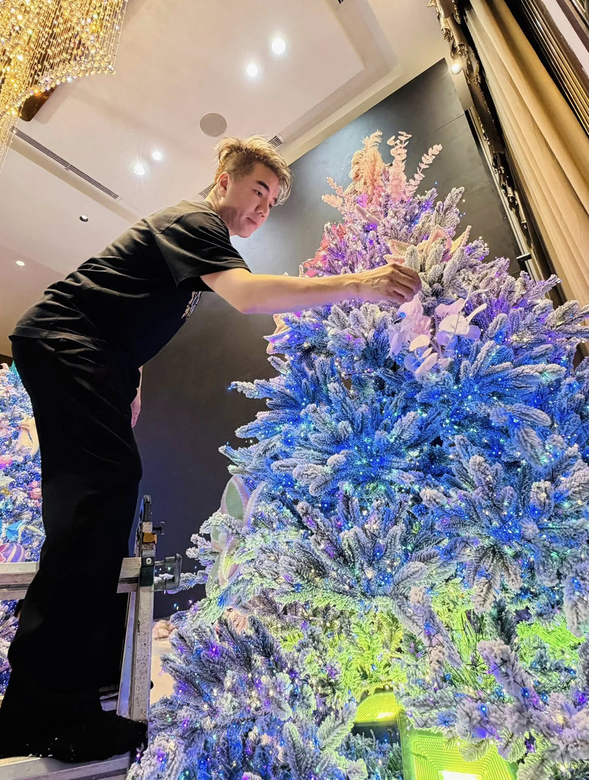 Đàm Vĩnh Hưng trang trí Giáng sinh tại biệt thự triệu đô lần cuối - Ảnh 5.