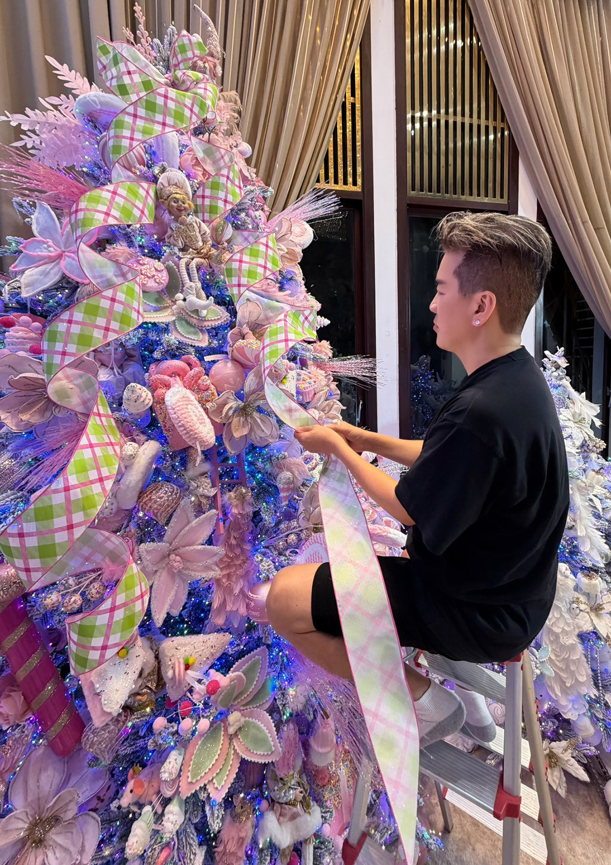 Đàm Vĩnh Hưng trang trí Giáng sinh tại biệt thự triệu đô lần cuối - Ảnh 2.