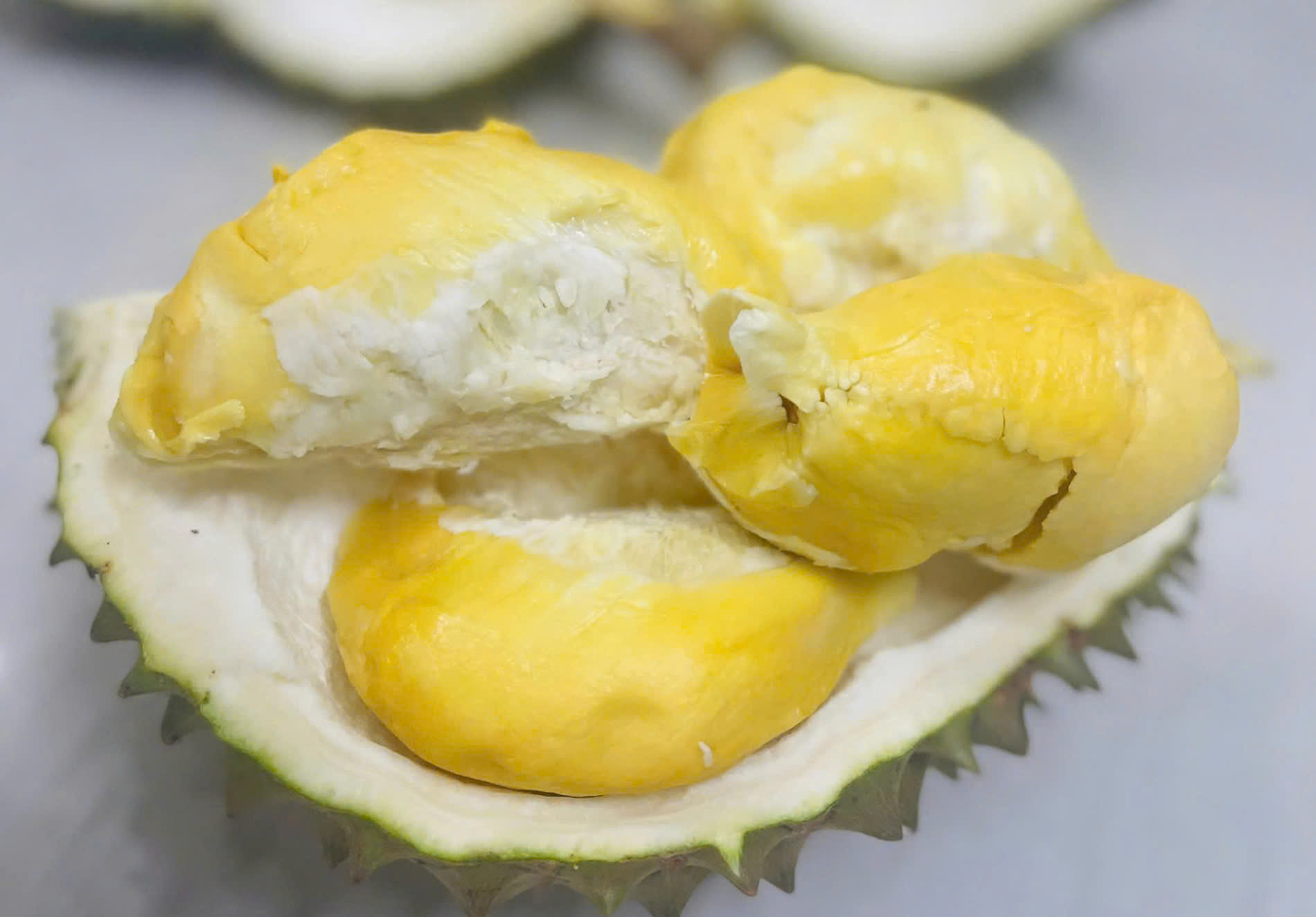 Loại sầu riêng bán 700.000 đồng/kg nhưng vẫn "cháy hàng" - Ảnh 3. Loại sầu riêng bán 700.000 đồng/kg nhưng vẫn "cháy hàng" - Ảnh 3.