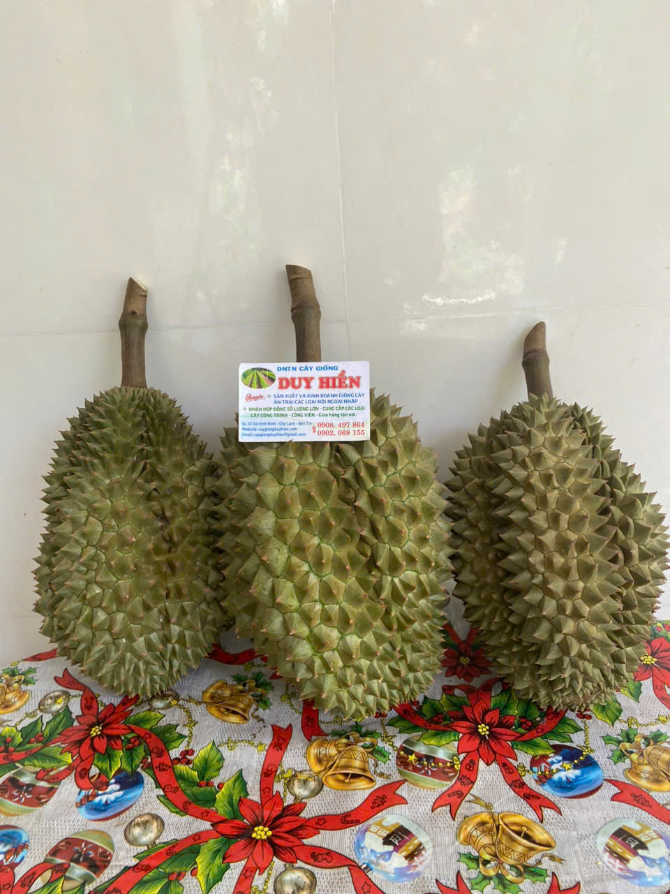 Loại sầu riêng bán 700.000 đồng/kg nhưng vẫn "cháy hàng" - Ảnh 2. Loại sầu riêng bán 700.000 đồng/kg nhưng vẫn "cháy hàng" - Ảnh 2.