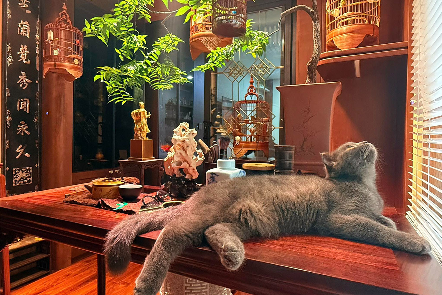 Vượng Râu và cuộc sống đẳng cấp ở phố Nguyễn Thượng Hiền , Hà Nội - Ảnh 4.