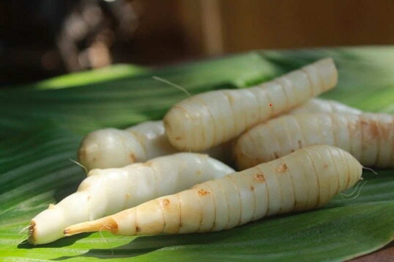 Củ dong riềng - thực phẩm hỗ trợ kiểm soát đường huyết và tốt cho tim mạch - Ảnh 2.