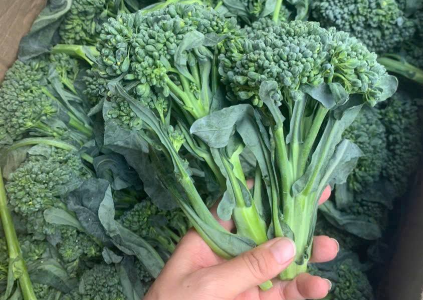 Top 5 loại rau cải phòng chống ung thư, tim mạch - Ảnh 1.