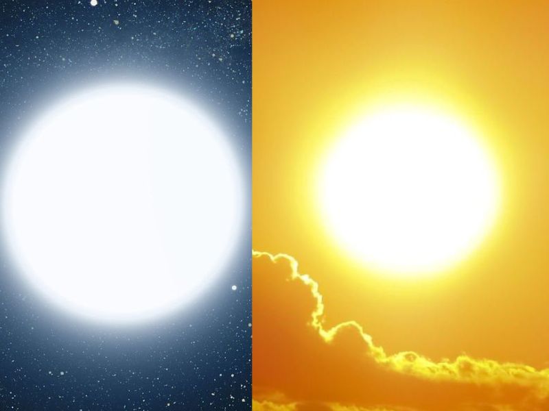 Những sự thật kỳ lạ trên thế giới mà ai cũng nghĩ là &quot;fake&quot;, nhưng hóa ra thật 100%- Ảnh 5.