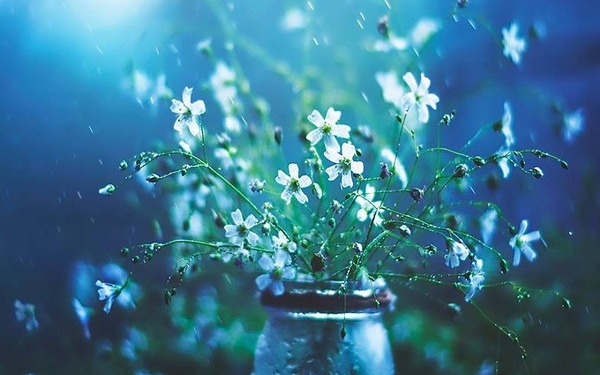 Tháng sinh Âm lịch là "con cưng của Thần Tài": Càng già càng giàu, phúc lộc bền lâu