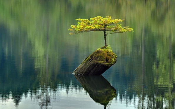 Ngày sinh Âm lịch của người mạnh mẽ: Càng trong nghịch cảnh càng vươn lên tỏa sáng rực rỡ