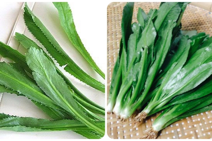 Bạn có thể dùng lá mùi tàu có công dụng ngừa cảm cúm và giúp hạ cholesterol trong máu - Ảnh 1.