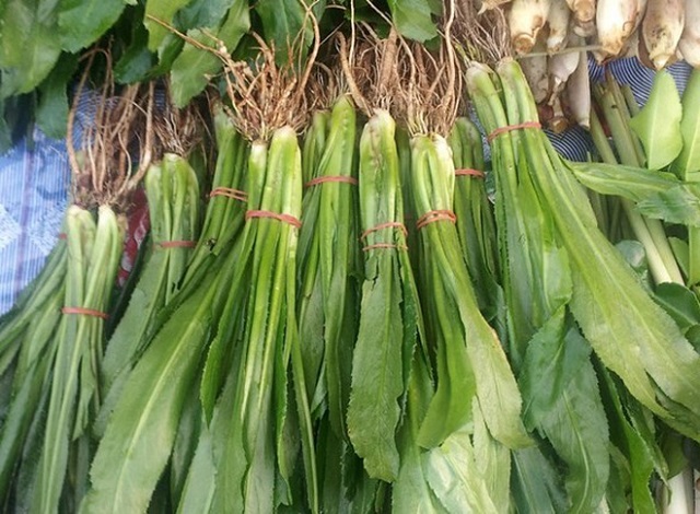 Bạn có thể dùng lá mùi tàu có công dụng ngừa cảm cúm và giúp hạ cholesterol trong máu - Ảnh 3. Bạn có thể dùng lá mùi tàu có công dụng ngừa cảm cúm và giúp hạ cholesterol trong máu - Ảnh 3.