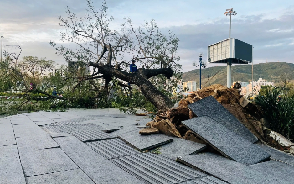 Hình ảnh Gia Lai, Đắk Lắk ngổn ngang sau bão số 13