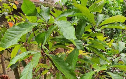 Lập Đông 2025 và cách tăng vận khí thu hút tài lộc cho ngày cuối năm - Ảnh 1.