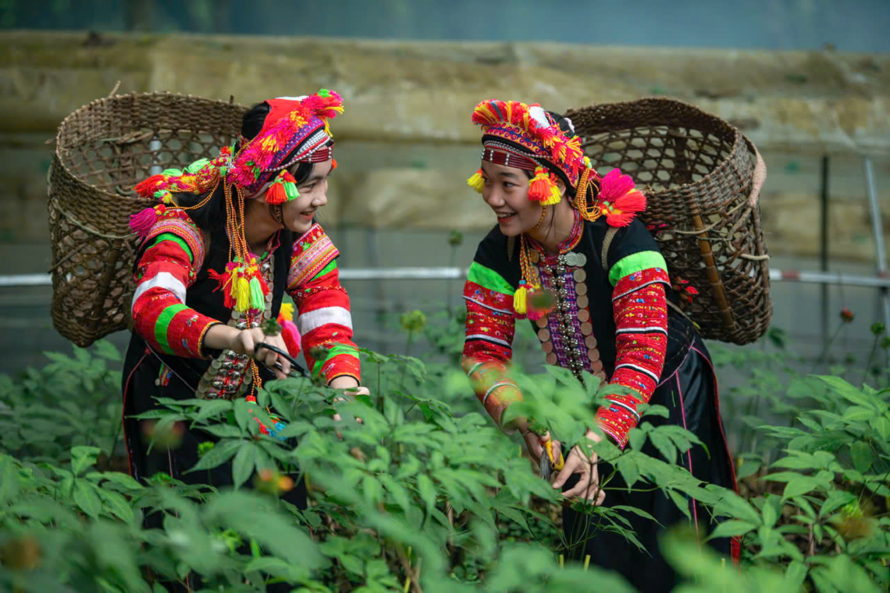 Ngày hội sản phẩm vùng cao 2025: Nông sản vùng cao đến tay người tiêu dùng cả nước - Ảnh 3.