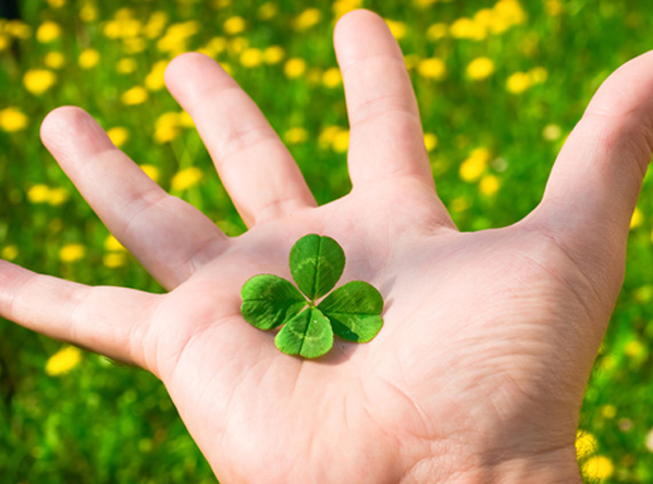 4 con giáp làm việc thiện được phúc báo, nhận được giàu có lẫn hạnh phúc trong 3 năm tới - Ảnh 7. 4 con giáp làm việc thiện được phúc báo, nhận được giàu có lẫn hạnh phúc trong 3 năm tới - Ảnh 7.