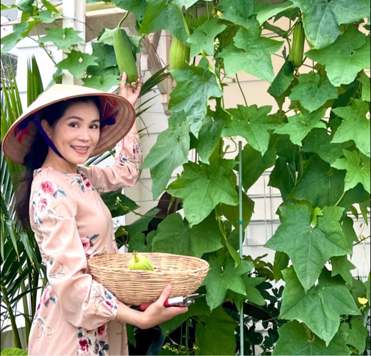 Vườn hồng bạc tỷ của MC Quyền Linh khiến nhiều người mơ ước sở hữu - Ảnh 18.