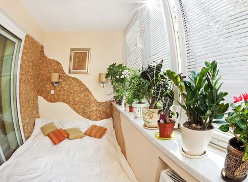 Người nào mất ngủ, hãy để ngay loại cây này trong phòng ngủ  - Ảnh 4.