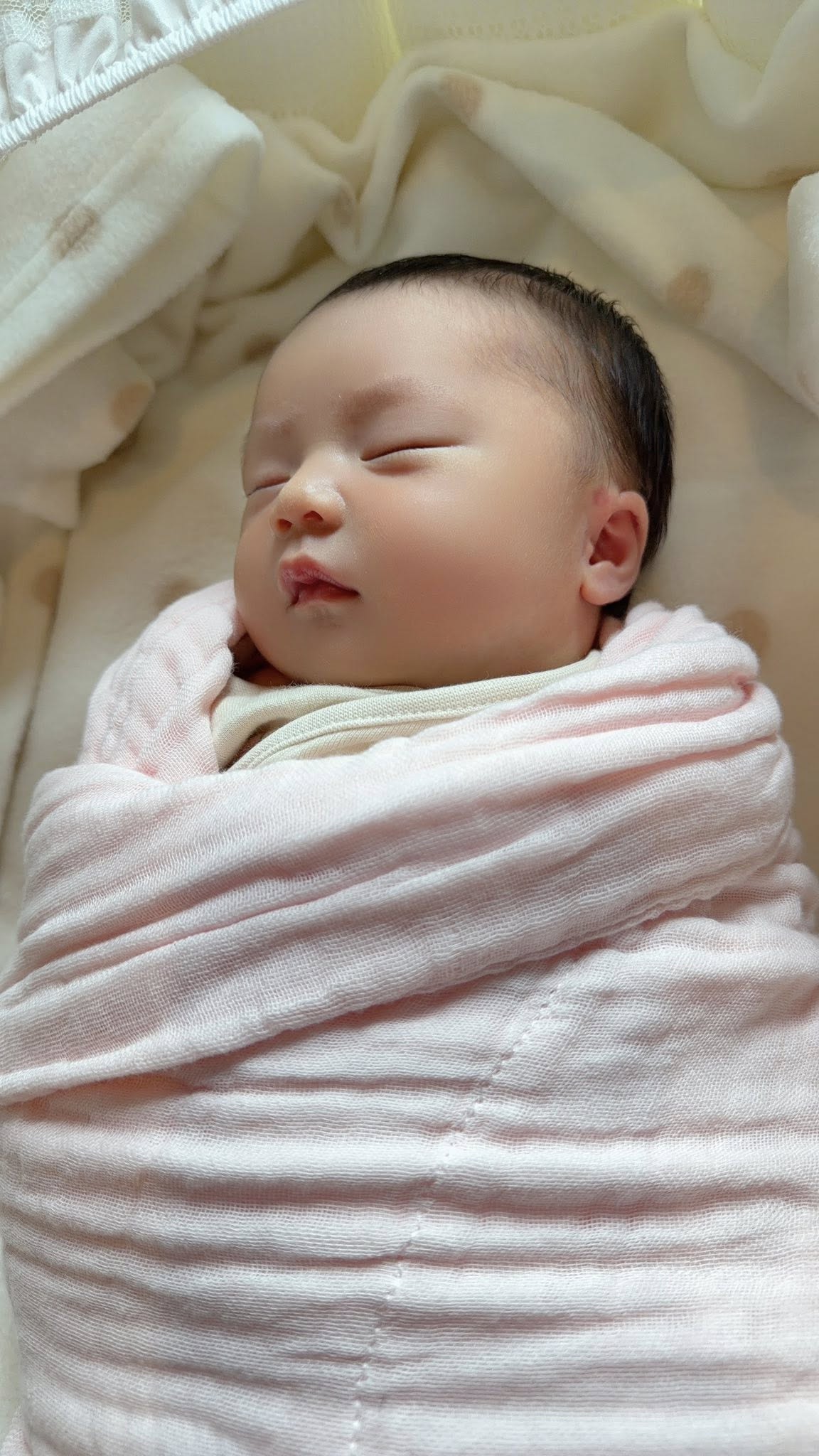 Thân thế Phương Lê - vợ nam NSƯT cải lương vừa có con ở tuổi U50 - Ảnh 3. Thân thế Phương Lê - vợ nam NSƯT cải lương vừa có con ở tuổi U50 - Ảnh 3.