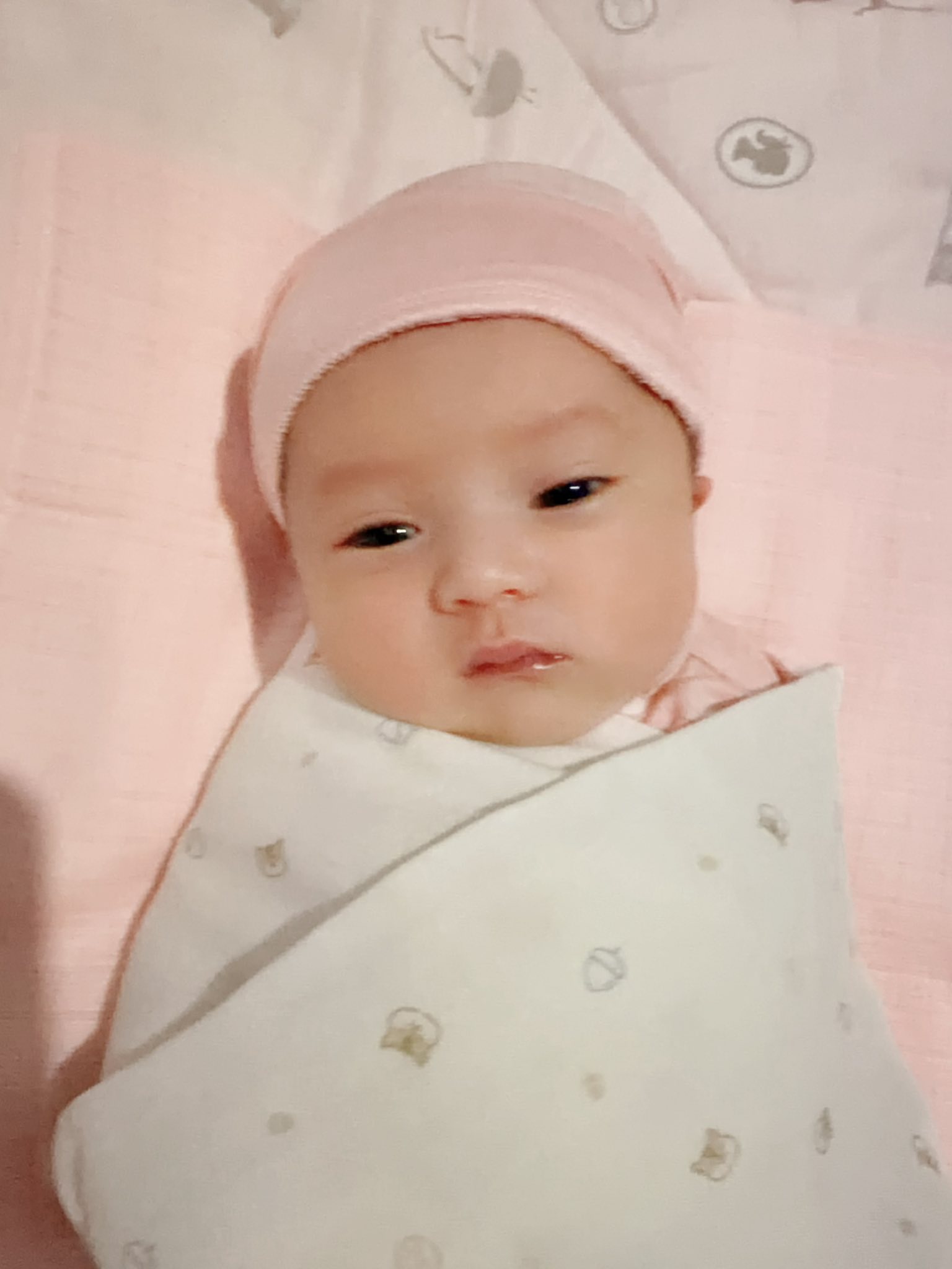 Thân thế Phương Lê - vợ nam NSƯT cải lương vừa có con ở tuổi U50 - Ảnh 4. Thân thế Phương Lê - vợ nam NSƯT cải lương vừa có con ở tuổi U50 - Ảnh 4.